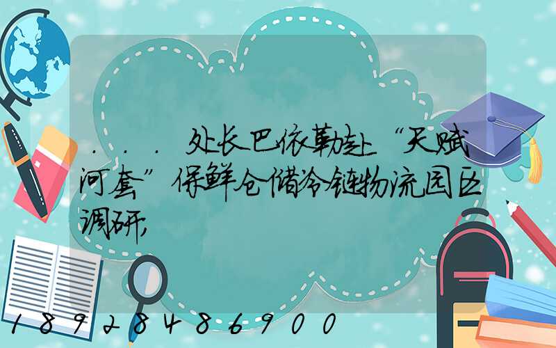 ...处长巴依勒赴“天赋河套”保鲜仓储冷链物流园区调研