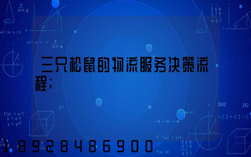 三只松鼠的物流服务决策流程