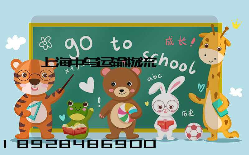 上海中乌运输物流