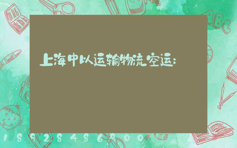 上海中以运输物流空运