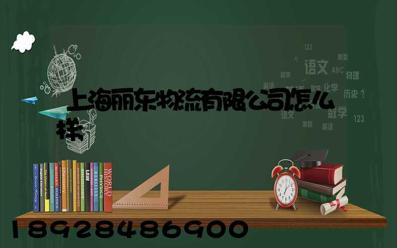 上海丽东物流有限公司怎么样