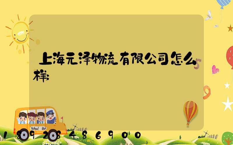 上海元泽物流有限公司怎么样
