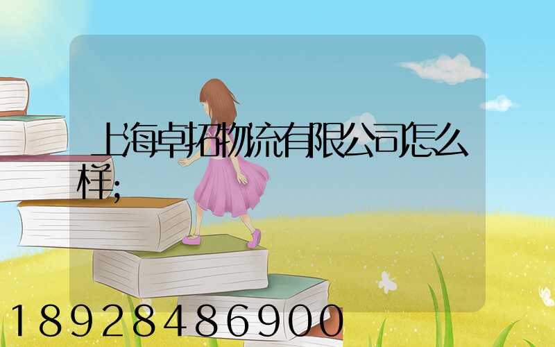 上海卓拓物流有限公司怎么样