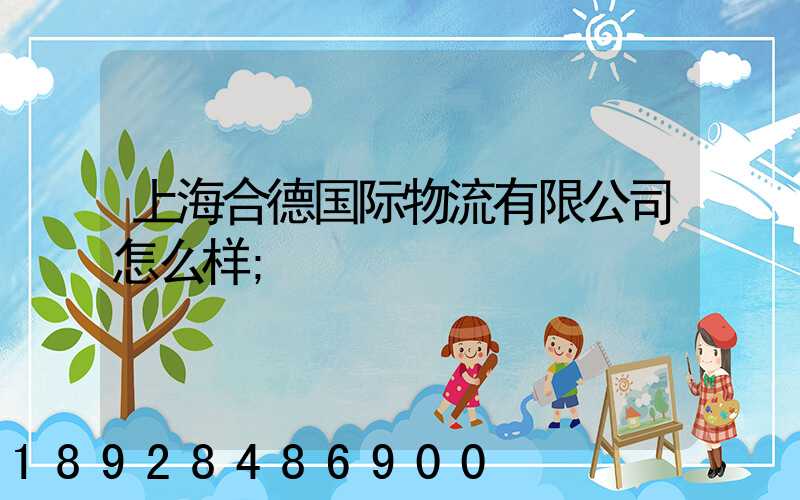 上海合德国际物流有限公司怎么样