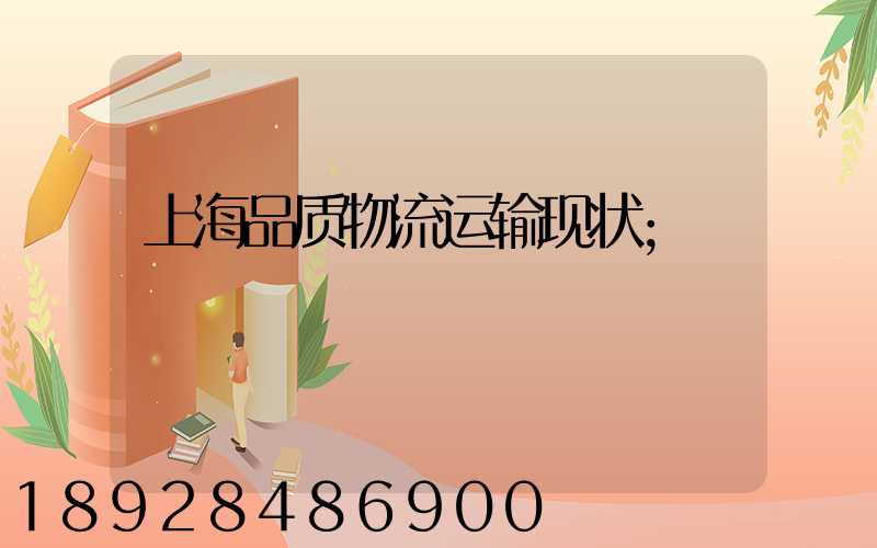 上海品质物流运输现状