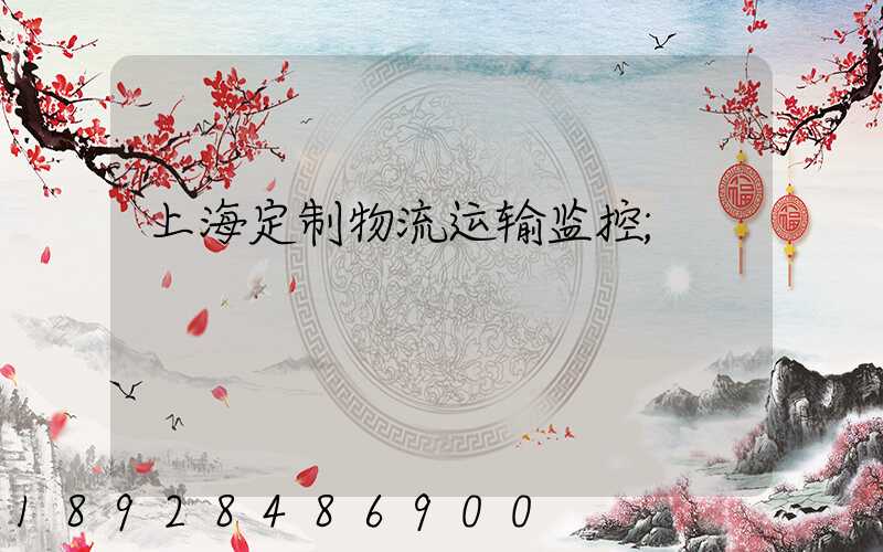 上海定制物流运输监控