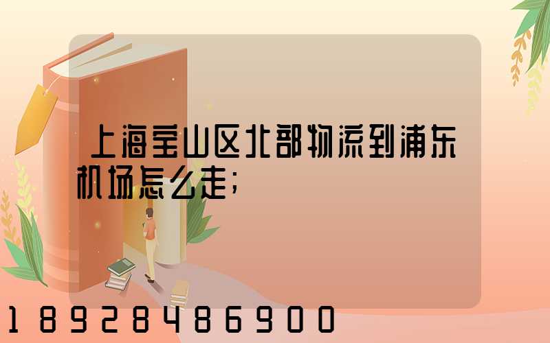 上海宝山区北部物流到浦东机场怎么走
