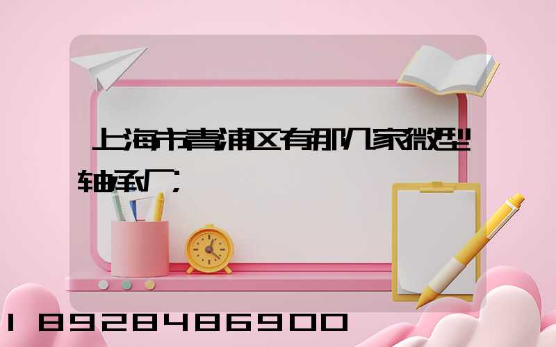 上海市青浦区有那几家微型轴承厂