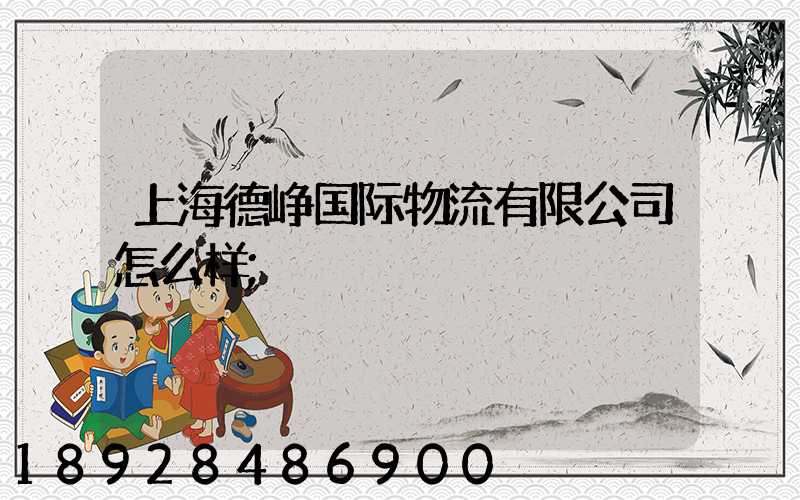 上海德峥国际物流有限公司怎么样
