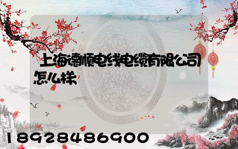 上海德顺电线电缆有限公司怎么样