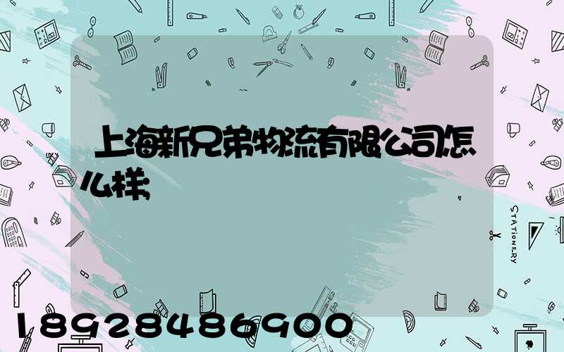 上海新兄弟物流有限公司怎么样