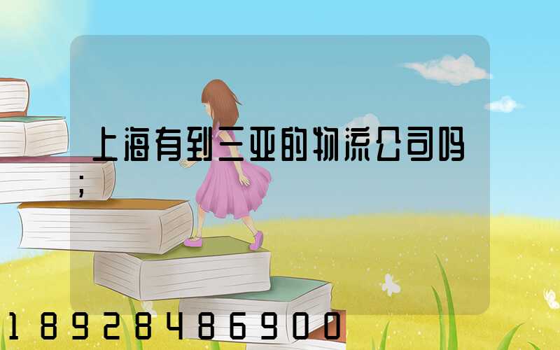 上海有到三亚的物流公司吗