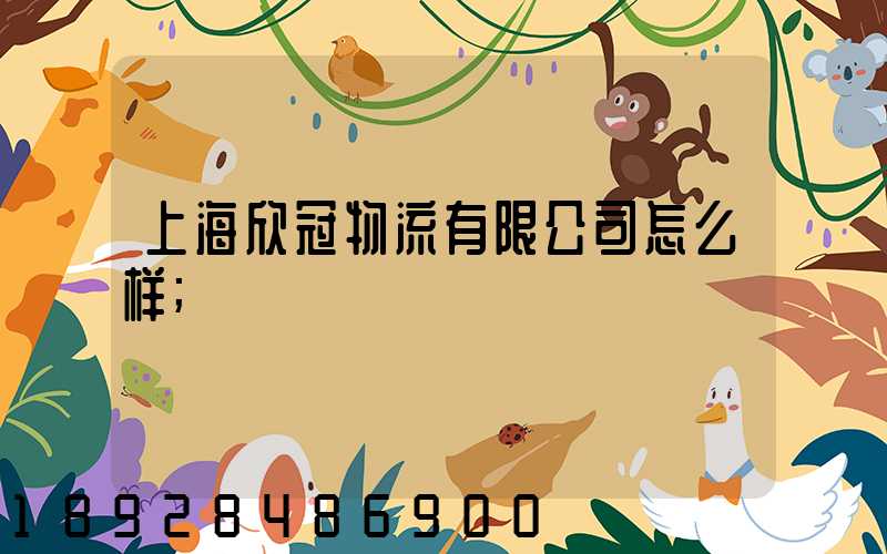 上海欣冠物流有限公司怎么样
