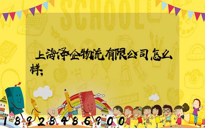 上海泽企物流有限公司怎么样