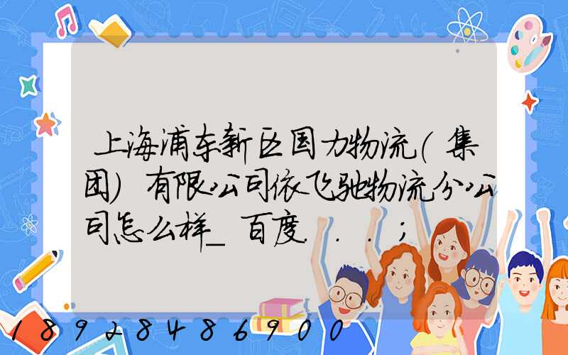 上海浦东新区国力物流(集团)有限公司依飞驰物流分公司怎么样_百度...