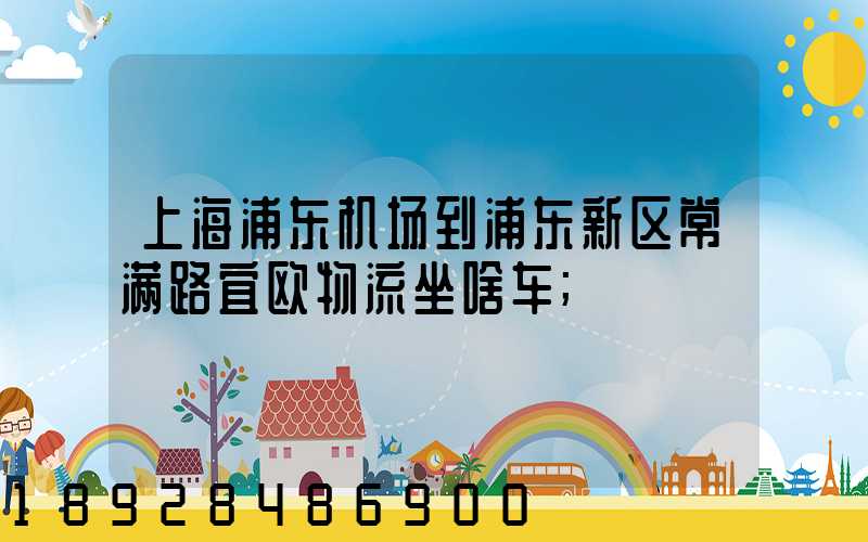 上海浦东机场到浦东新区常满路宜欧物流坐啥车