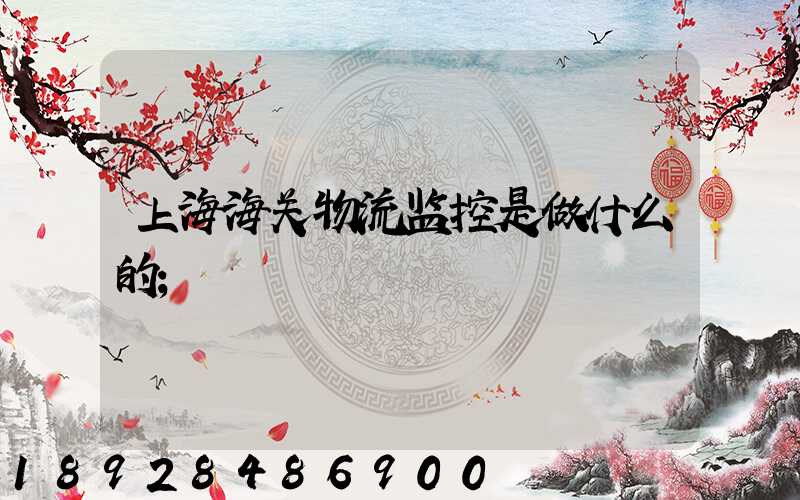 上海海关物流监控是做什么的