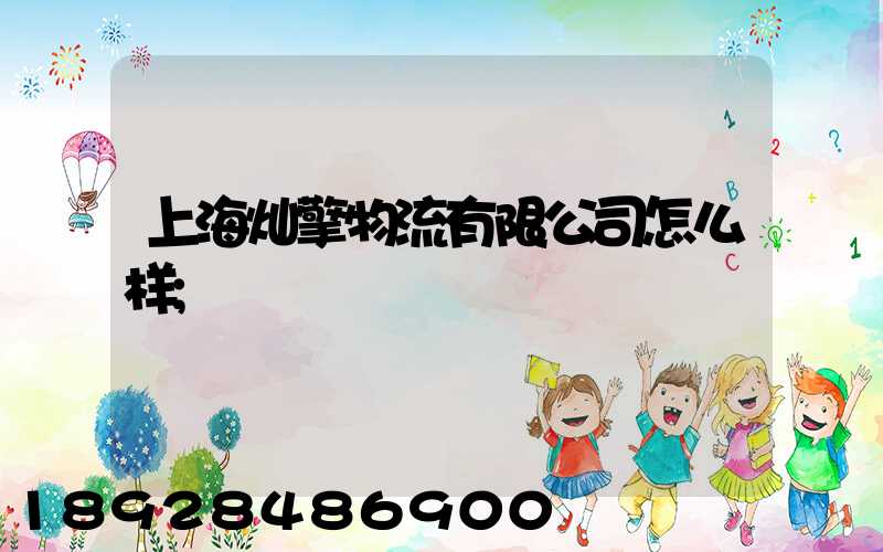 上海灿擎物流有限公司怎么样