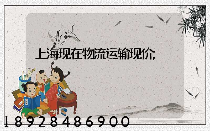 上海现在物流运输现价