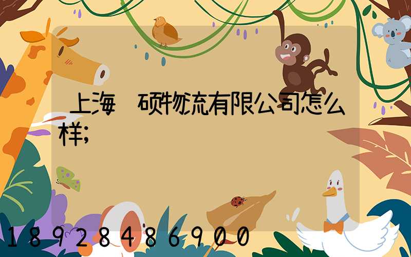 上海联硕物流有限公司怎么样