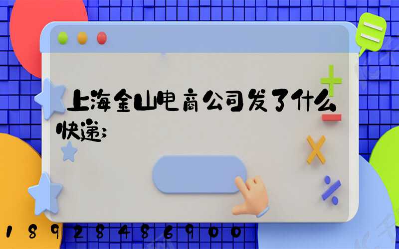 上海金山电商公司发了什么快递