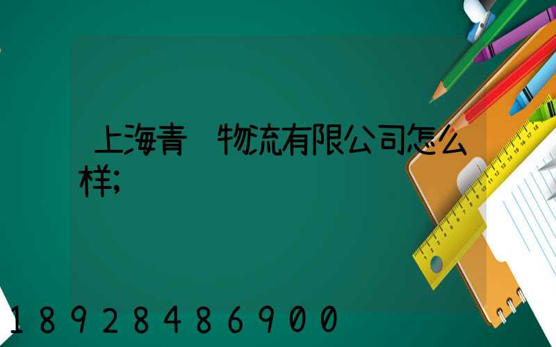 上海青赣物流有限公司怎么样