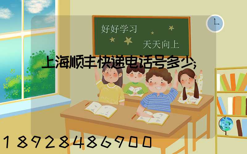 上海顺丰快递电话号多少