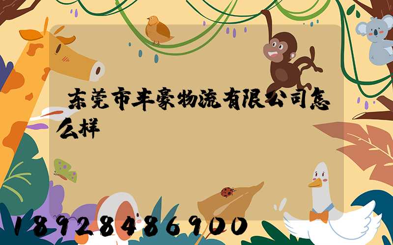 东莞市丰豪物流有限公司怎么样
