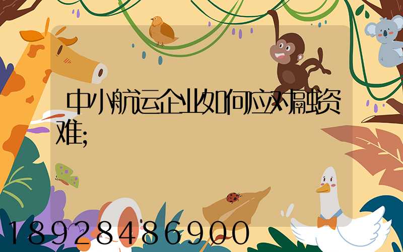 中小航运企业如何应对融资难