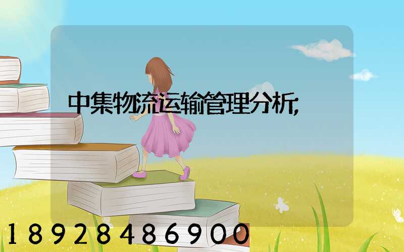 中集物流运输管理分析