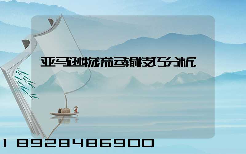 亚马逊物流运输技巧分析