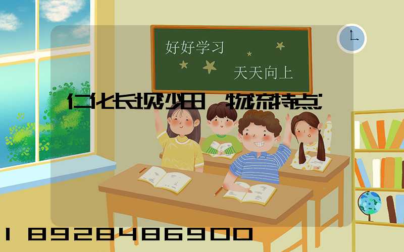 仁化长坝沙田柚物流特点