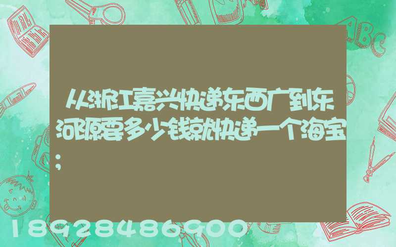 从浙江嘉兴快递东西广到东河源要多少钱就快递一个海宝
