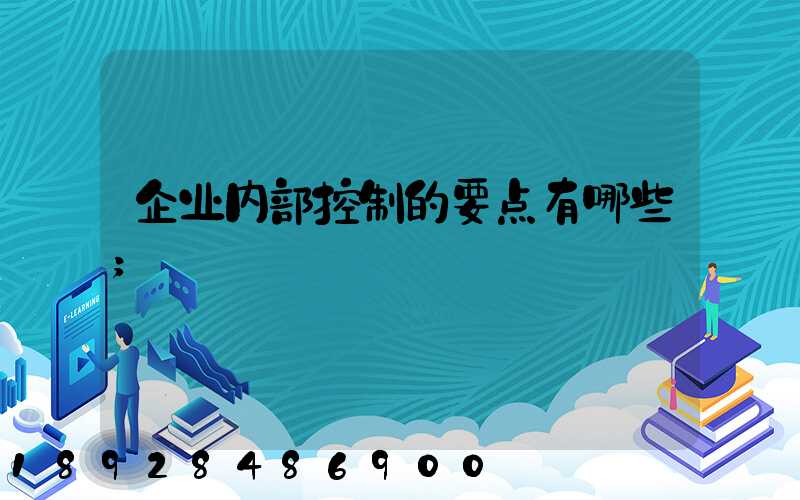 企业内部控制的要点有哪些