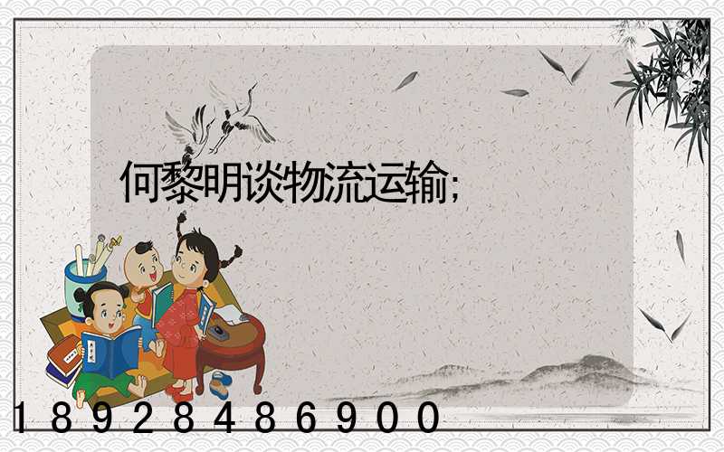 何黎明谈物流运输