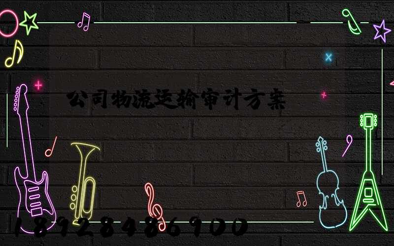 公司物流运输审计方案