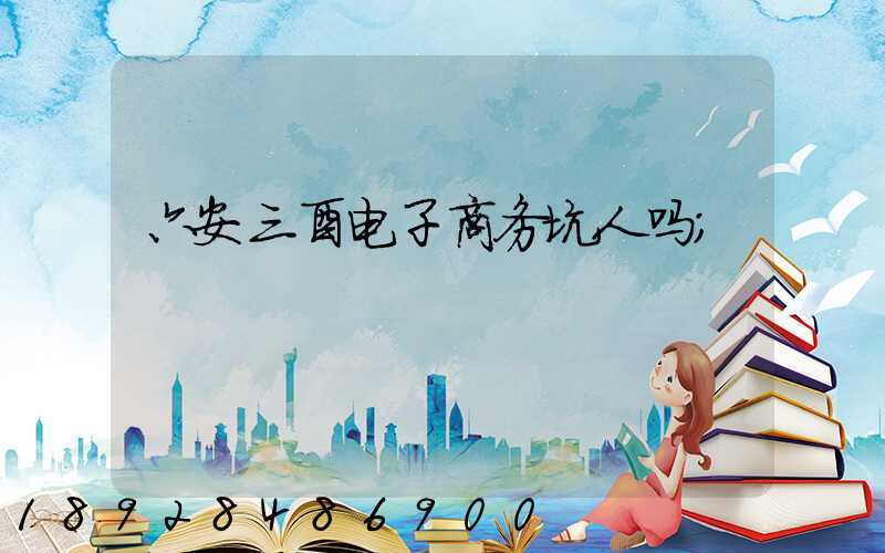 六安三酉电子商务坑人吗