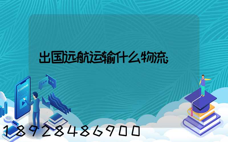 出国远航运输什么物流
