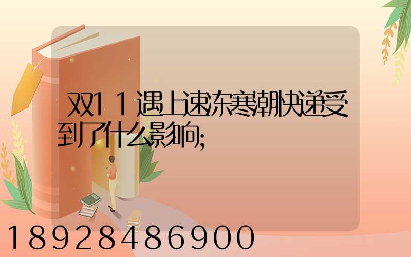 双11遇上速冻寒潮快递受到了什么影响