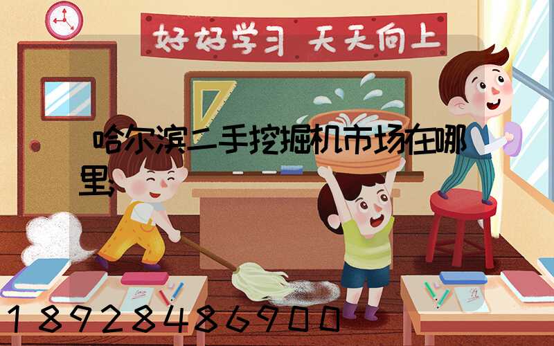 哈尔滨二手挖掘机市场在哪里