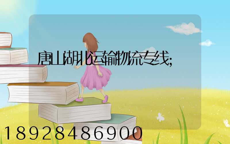唐山湖北运输物流专线
