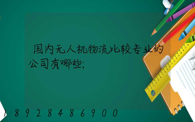 国内无人机物流比较专业的公司有哪些