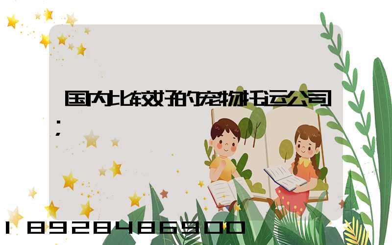 国内比较好的宠物托运公司