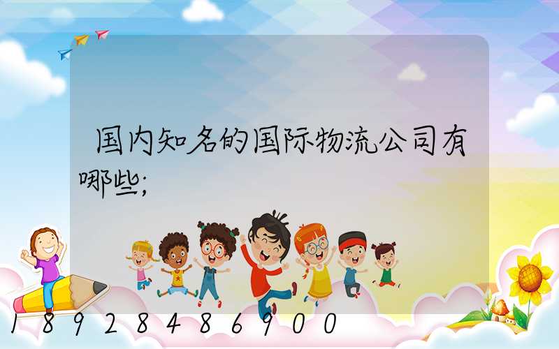 国内知名的国际物流公司有哪些