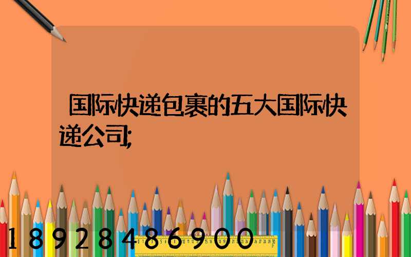 国际快递包裹的五大国际快递公司
