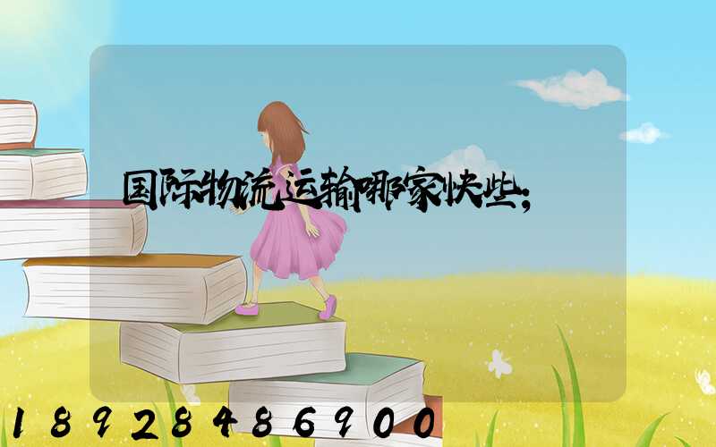 国际物流运输哪家快些