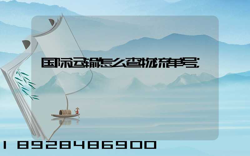 国际运输怎么查物流单号