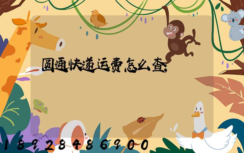 圆通快递运费怎么查