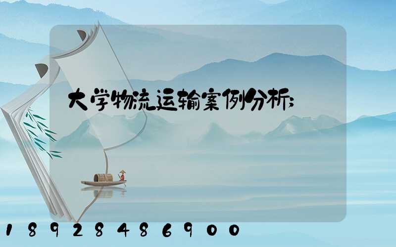 大学物流运输案例分析