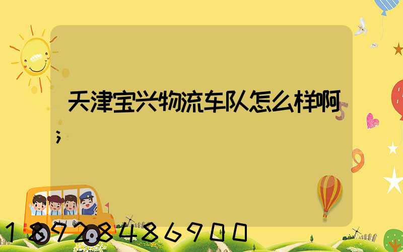 天津宝兴物流车队怎么样啊